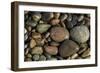 Smooth granite pebbles on beach of Lake Superior, Whitefish Point, Michigan-Adam Jones-Framed Photographic Print