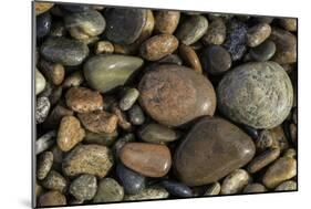 Smooth granite pebbles on beach of Lake Superior, Whitefish Point, Michigan-Adam Jones-Mounted Photographic Print