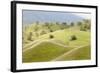 Smooth, Grassy Hills and Oak Trees, Caliente, California, USA-Jaynes Gallery-Framed Photographic Print