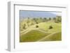 Smooth, Grassy Hills and Oak Trees, Caliente, California, USA-Jaynes Gallery-Framed Photographic Print