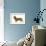 Smooth-Haired Dachshund-null-Framed Photographic Print displayed on a wall