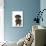 Smooth Haired Minature Dachsund-null-Photographic Print displayed on a wall
