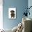 Smooth Haired Minature Dachsund-null-Mounted Photographic Print displayed on a wall