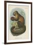 Smooth-Headed Capuchin-null-Framed Giclee Print