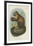 Smooth-Headed Capuchin-null-Framed Giclee Print