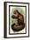 Smooth-Headed Capuchin-G.r. Waterhouse-Framed Art Print