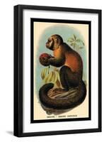 Smooth-Headed Capuchin-G.r. Waterhouse-Framed Art Print