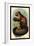 Smooth-Headed Capuchin-G.r. Waterhouse-Framed Art Print