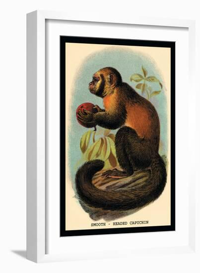 Smooth-Headed Capuchin-G.r. Waterhouse-Framed Art Print