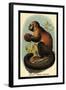 Smooth-Headed Capuchin-G.r. Waterhouse-Framed Art Print