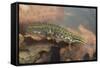 Smooth Newt Male in the Water-null-Framed Stretched Canvas