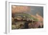 Smooth Newt Male in the Water-null-Framed Photographic Print