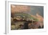 Smooth Newt Male in the Water-null-Framed Photographic Print