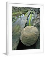 Smooth Sandstone Boulder, Shore Acres State Park, Oregon, USA-Jaynes Gallery-Framed Photographic Print