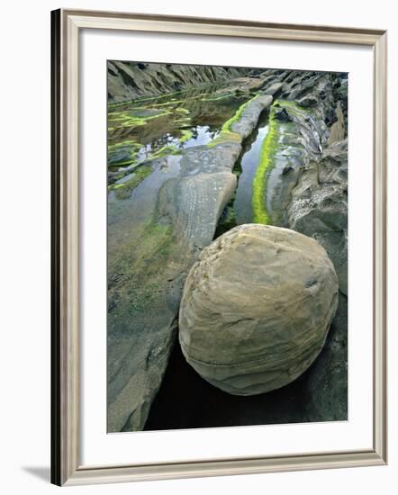 Smooth Sandstone Boulder, Shore Acres State Park, Oregon, USA-Jaynes Gallery-Framed Photographic Print