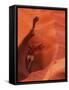 Smooth Sandstone Travel, Lower Antelope Canyon, Arizona, USA-Howie Garber-Framed Stretched Canvas