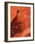 Smooth Sandstone Travel, Lower Antelope Canyon, Arizona, USA-Howie Garber-Framed Photographic Print