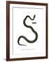 Smooth Snake-null-Framed Giclee Print