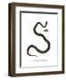 Smooth Snake-null-Framed Giclee Print