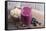 Smoothie with Blueberries and Oatmeal-Elena Veselova-Framed Stretched Canvas