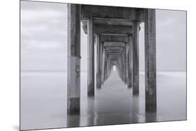 Smoothing Scripps-Chris Moyer-Mounted Photographic Print