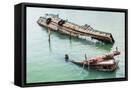 Framed Canvas