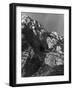 Smuggler's Cave-null-Framed Photographic Print