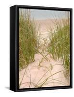 Smyrna Dunes Park, New Smyrna Beach, Florida-Lisa S^ Engelbrecht-Framed Stretched Canvas