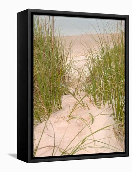 Smyrna Dunes Park, New Smyrna Beach, Florida-Lisa S^ Engelbrecht-Framed Stretched Canvas