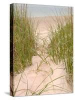Smyrna Dunes Park, New Smyrna Beach, Florida-Lisa S^ Engelbrecht-Stretched Canvas
