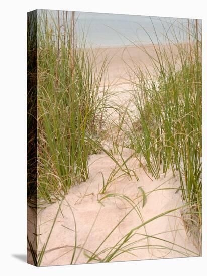 Smyrna Dunes Park, New Smyrna Beach, Florida-Lisa S^ Engelbrecht-Stretched Canvas