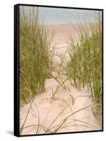 Smyrna Dunes Park, New Smyrna Beach, Florida-Lisa S^ Engelbrecht-Framed Stretched Canvas