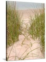 Smyrna Dunes Park, New Smyrna Beach, Florida-Lisa S^ Engelbrecht-Stretched Canvas