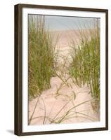 Smyrna Dunes Park, New Smyrna Beach, Florida-Lisa S^ Engelbrecht-Framed Premium Photographic Print