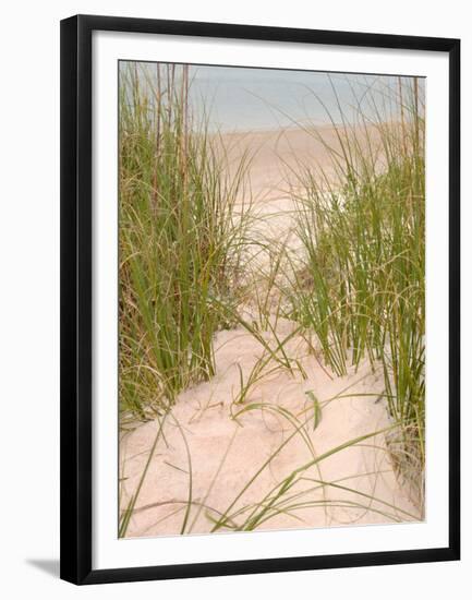 Smyrna Dunes Park, New Smyrna Beach, Florida-Lisa S^ Engelbrecht-Framed Premium Photographic Print