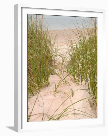 Smyrna Dunes Park, New Smyrna Beach, Florida-Lisa S^ Engelbrecht-Framed Premium Photographic Print
