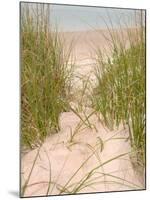 Smyrna Dunes Park, New Smyrna Beach, Florida-Lisa S^ Engelbrecht-Mounted Premium Photographic Print