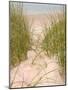 Smyrna Dunes Park, New Smyrna Beach, Florida-Lisa S^ Engelbrecht-Mounted Photographic Print