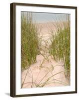 Smyrna Dunes Park, New Smyrna Beach, Florida-Lisa S^ Engelbrecht-Framed Photographic Print