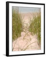 Smyrna Dunes Park, New Smyrna Beach, Florida-Lisa S^ Engelbrecht-Framed Photographic Print