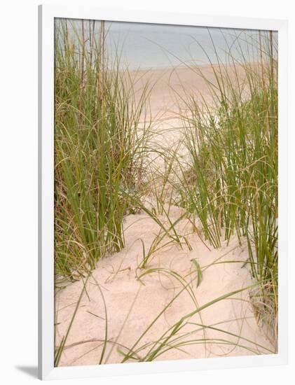 Smyrna Dunes Park, New Smyrna Beach, Florida-Lisa S^ Engelbrecht-Framed Photographic Print