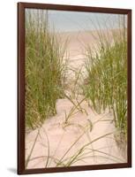 Smyrna Dunes Park, New Smyrna Beach, Florida-Lisa S^ Engelbrecht-Framed Photographic Print