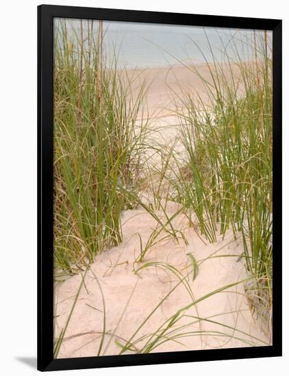 Smyrna Dunes Park, New Smyrna Beach, Florida-Lisa S^ Engelbrecht-Framed Photographic Print