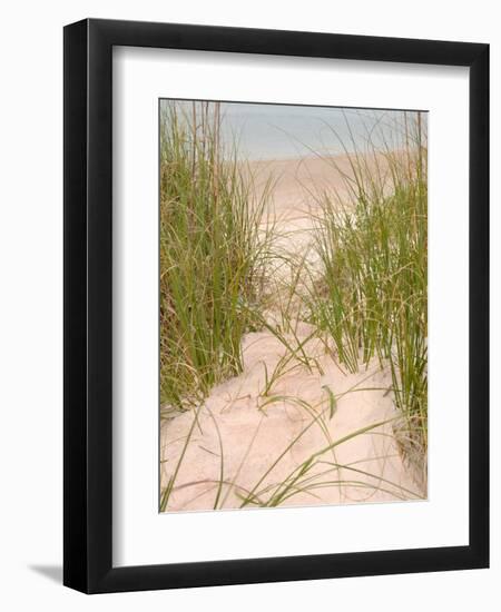 Smyrna Dunes Park, New Smyrna Beach, Florida-Lisa S^ Engelbrecht-Framed Photographic Print