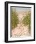 Smyrna Dunes Park, New Smyrna Beach, Florida-Lisa S^ Engelbrecht-Framed Photographic Print