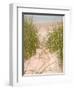 Smyrna Dunes Park, New Smyrna Beach, Florida-Lisa S^ Engelbrecht-Framed Photographic Print