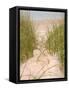 Smyrna Dunes Park, New Smyrna Beach, Florida-Lisa S^ Engelbrecht-Framed Stretched Canvas