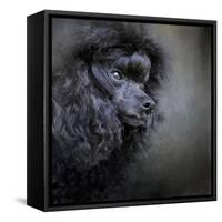 Snack Spotter Toy Black Poodle-Jai Johnson-Framed Stretched Canvas