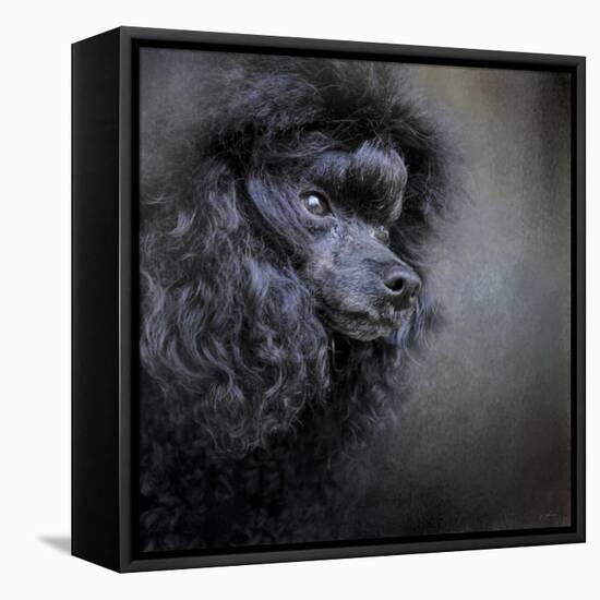 Snack Spotter Toy Black Poodle-Jai Johnson-Framed Stretched Canvas