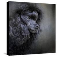 Snack Spotter Toy Black Poodle-Jai Johnson-Stretched Canvas